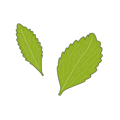 Stevia